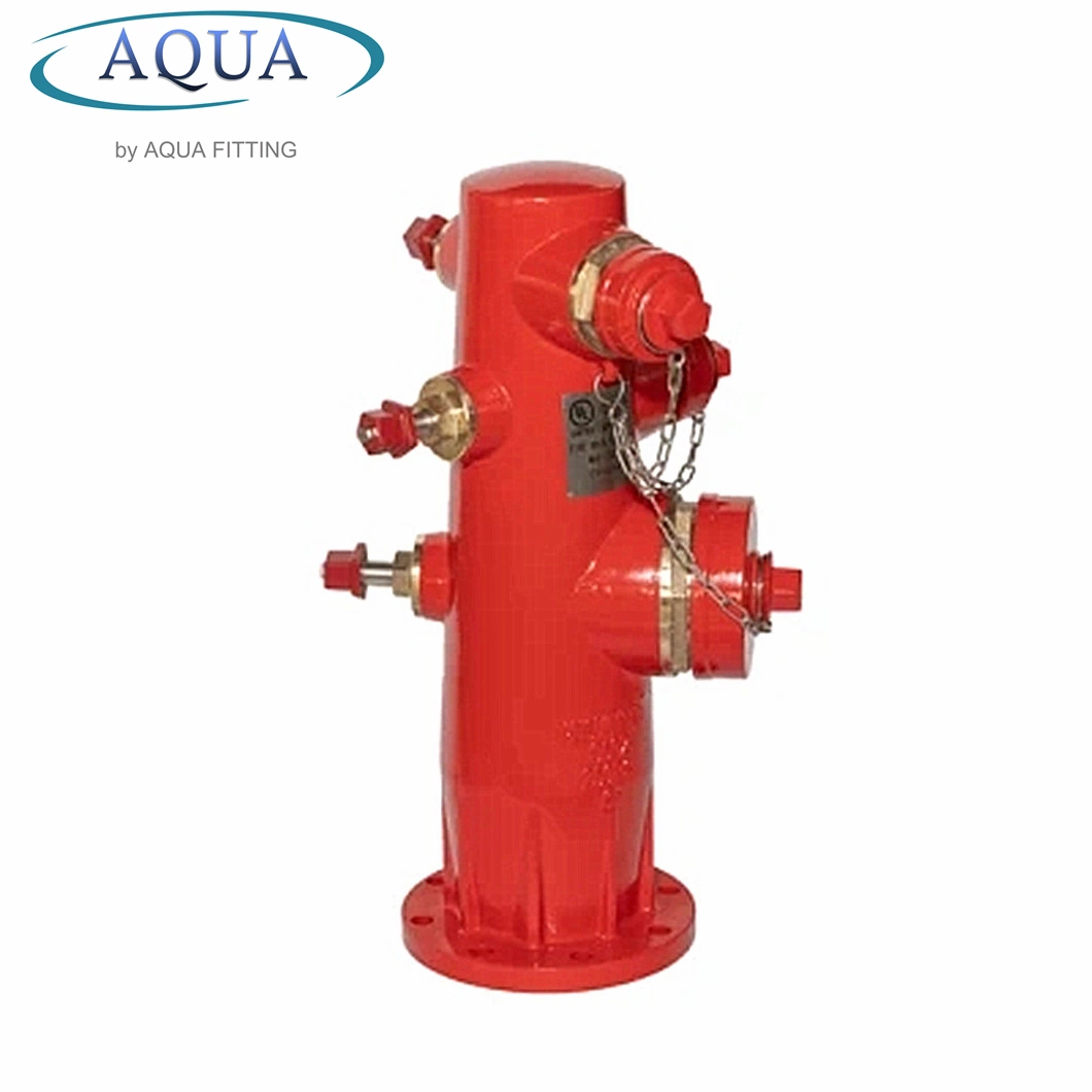 DN100 Overground Type Outdoor Fire Hydrant Ductile Cast Iron